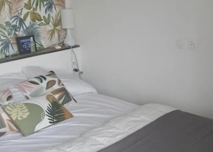 公寓 Sophie Dispo Des Le 14 Juin Jusqu'au 20 Aout Et Novembre 50m Des Cures Avec Son Coin Nuit Cosy Petit Balcon Vue Degagee Wifi Place Parking Ascenseur *