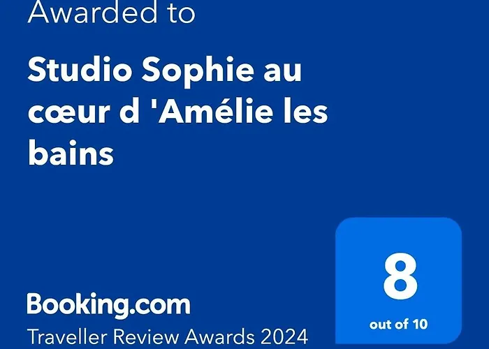 Dispo Juillet Aout Et Novembre 50m Des Cures Grand Sophie Coin Nuit Cosy Petit Balcon Vue Degagee Wifi Place Parking Ascenseur Apartment *